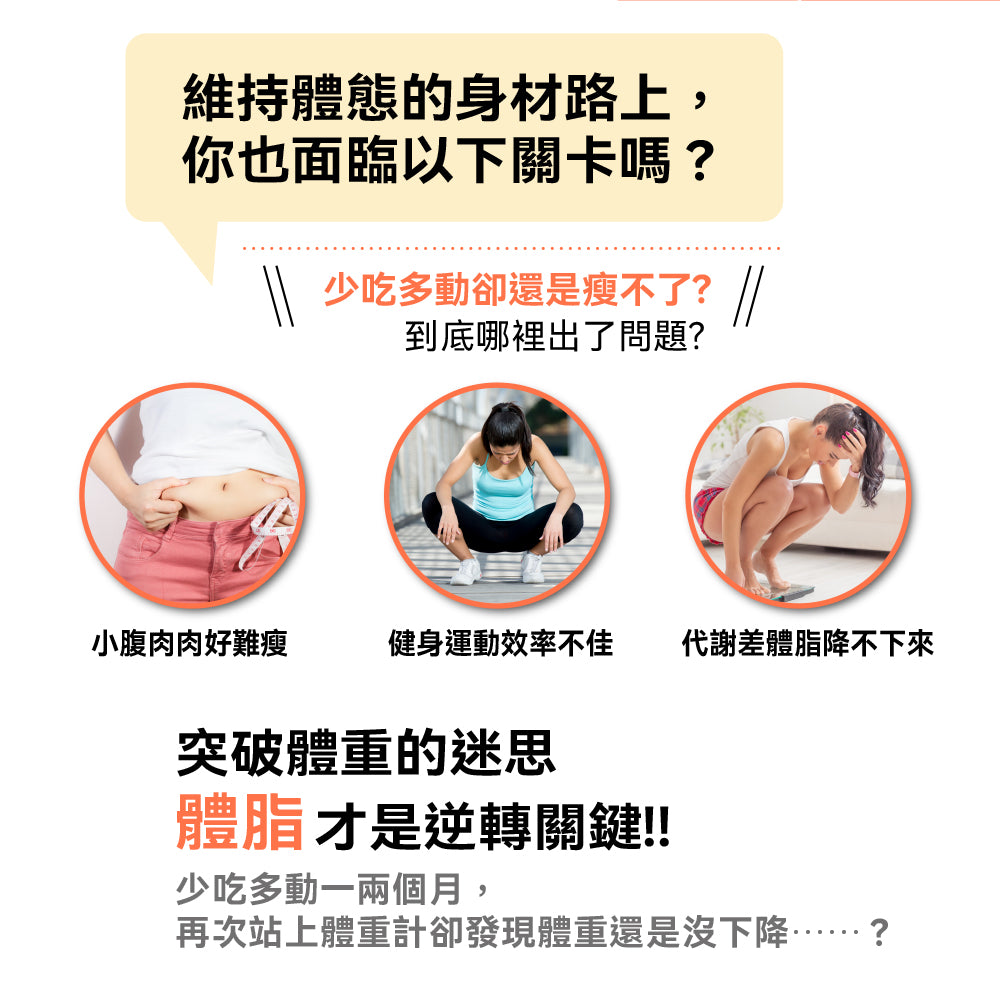WiFi藍牙ITO八點傳感體脂計(WH-SC03W)