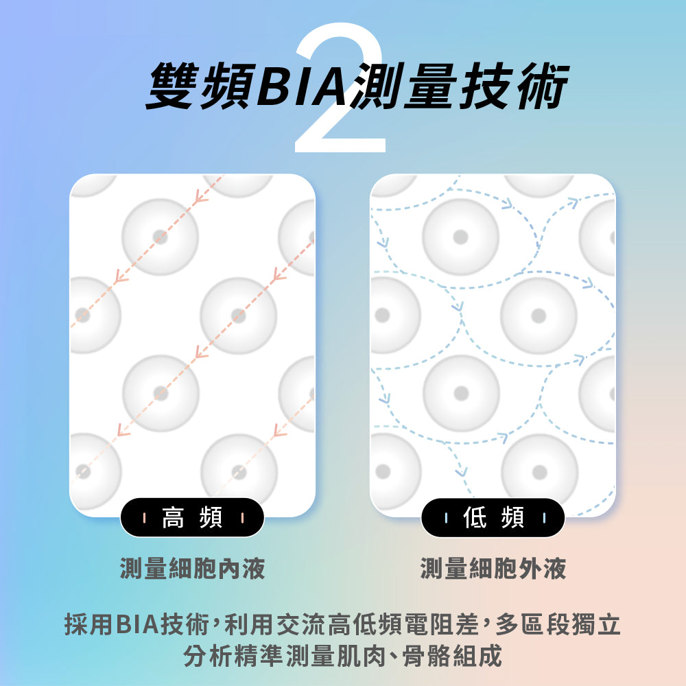 wifi 藍牙ITO 八點傳感體脂計(BPH-ME01W)