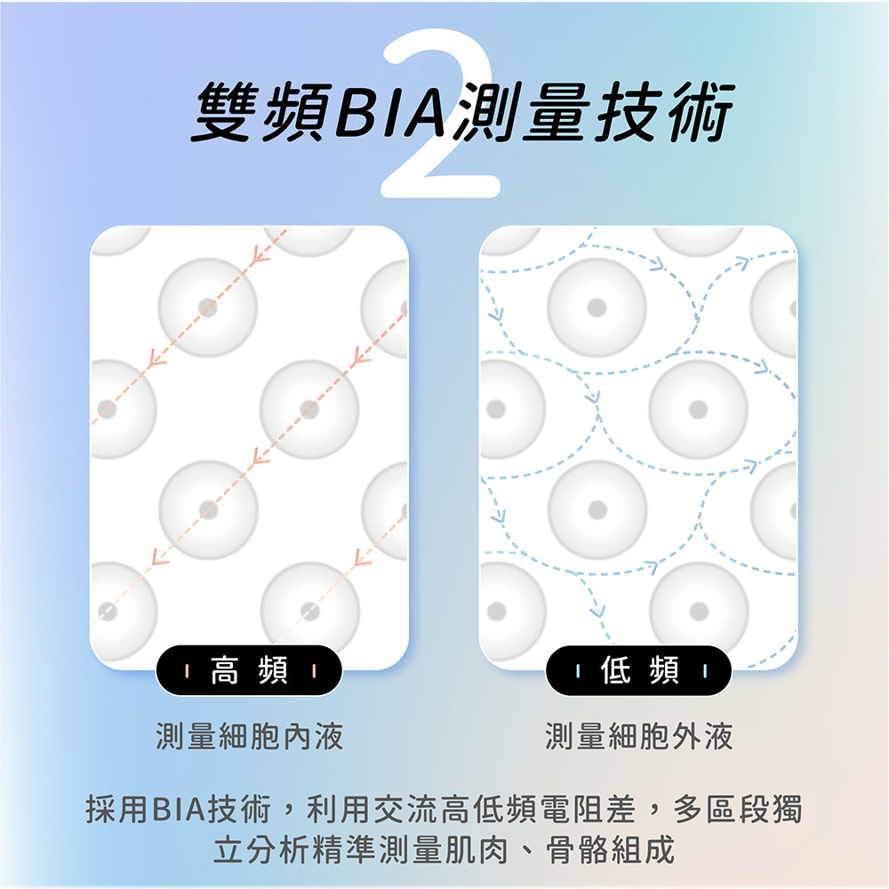 Wi-Fi 藍牙大螢幕八點傳感體脂計(BPH-ME02W)