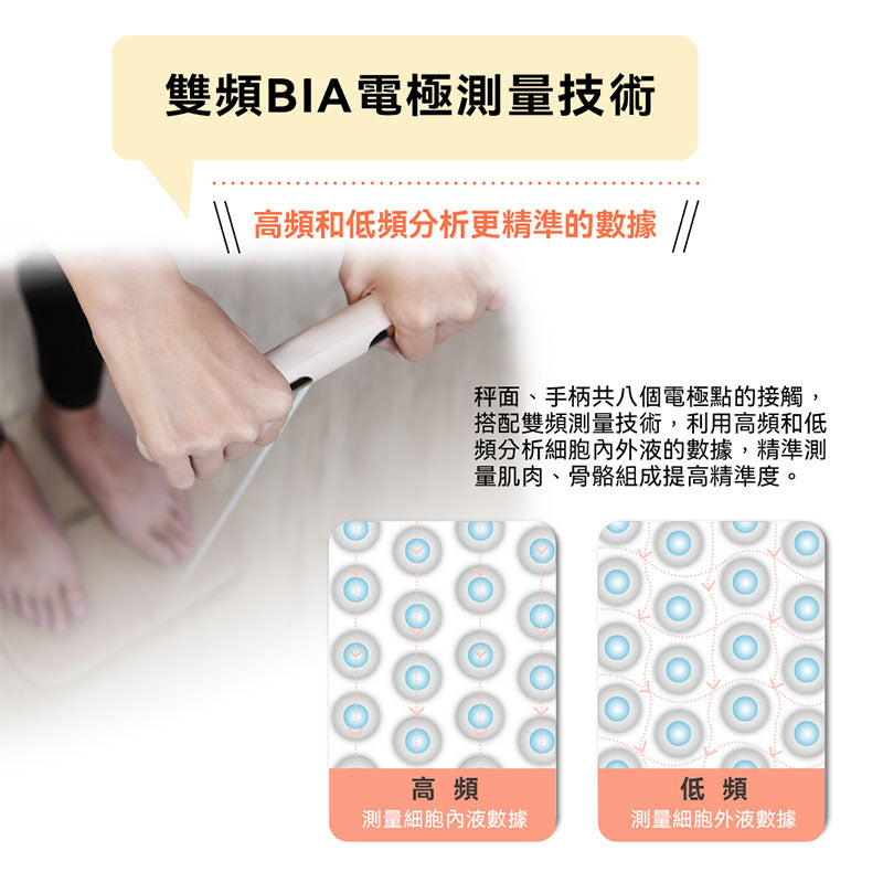WiFi藍牙ITO八點傳感體脂計(WH-SC03W)
